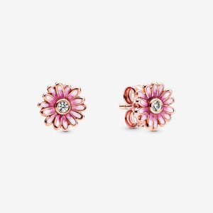 Pandora Pink Daisy Flower Stud Earrings Rose Gold Plated | 429KGIAOP