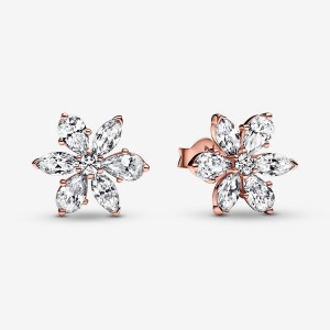 Pandora Sparkling Herbarium Cluster Stud Earrings Rose Gold Plated | 650DKCLQW