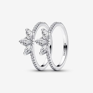 Pandora Sterling silver Herbarium Cluster Ring Set | 625IRYDPB