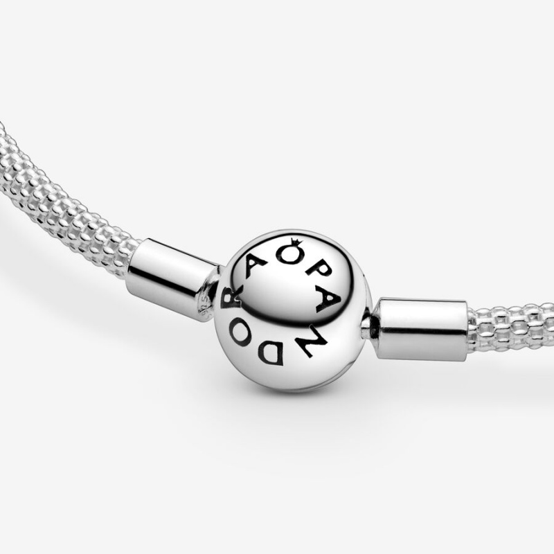 Pandora Moments Mesh Bracelet Sterling Silver | 029XBUCGI